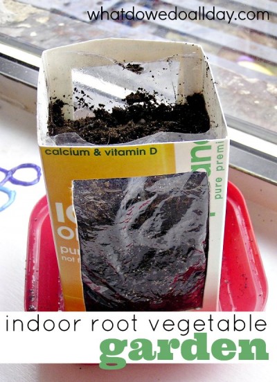 Make this see through indoor planter to watch root vegetables grow. 
