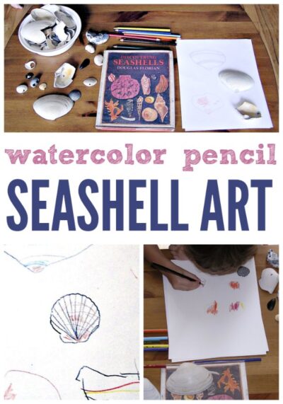 Seashell art project for kids with watercolor pencils