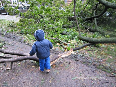 Hurricane Sandy in Prospect Park