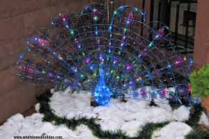 Outdoor Peacock Decoration