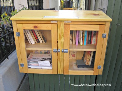 Mini Lending Library