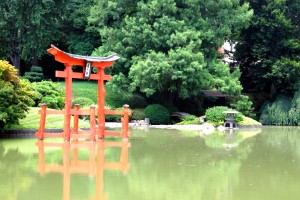 haiku books for kids
