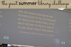 Discover new fiction books as part of the Great Summer Library Challenge