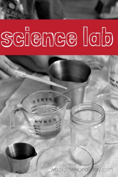 Set up a simple kids' science lab at home. Adaptable for kids of all ages.
