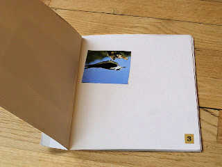 Photo of bird upside-down in collage book