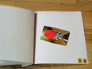 Photo of bird sideways in collage book