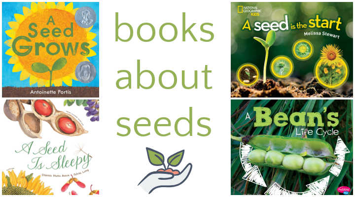 Four book covers of children's books about seeds and beans