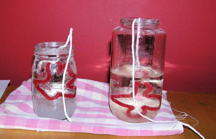 Pipe cleaners in two jars of epsom salt solution