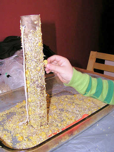 Child's hand pressing corn seeds onto homemade bird feeder
