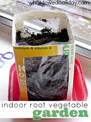 Make this see through indoor planter to watch root vegetables grow.