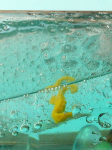 Toy seahorse floating in an ocean in a bottle