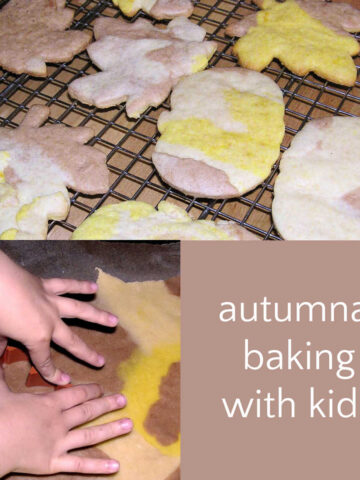 collage of photos featuring multicolored fall shaped sugar cookies