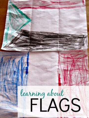 Learning the flags with books and coloring
