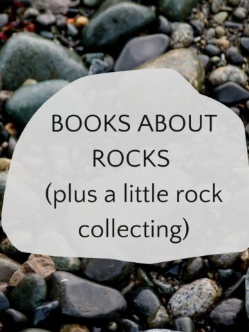 Rocks with text overlay Books about Rocks plus a little rock collecting