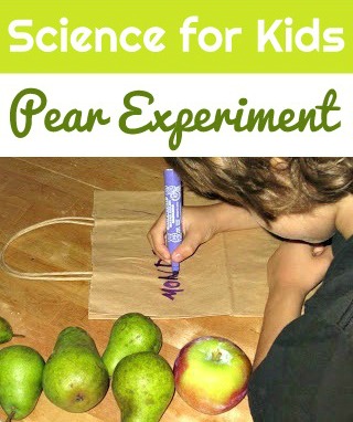 Fun science project for fall: pear ripening