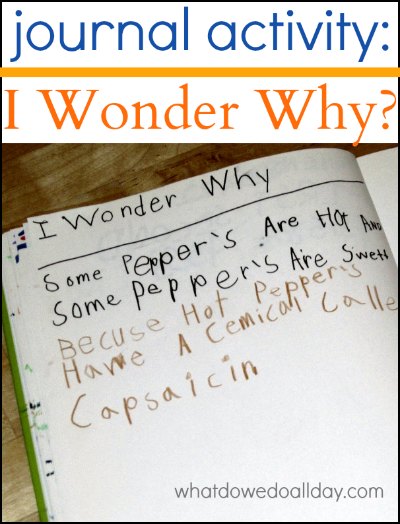 Kids record I wonder why questions in their journals to encourage inquiry