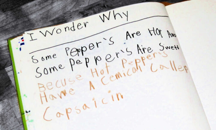 Kids journal page with the words I Wonder Why at the top