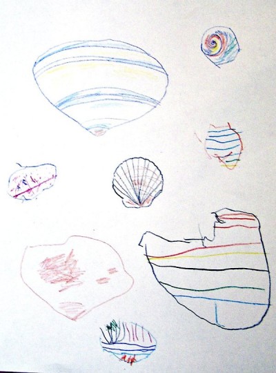 Seashell art drawn with watercolor pencil