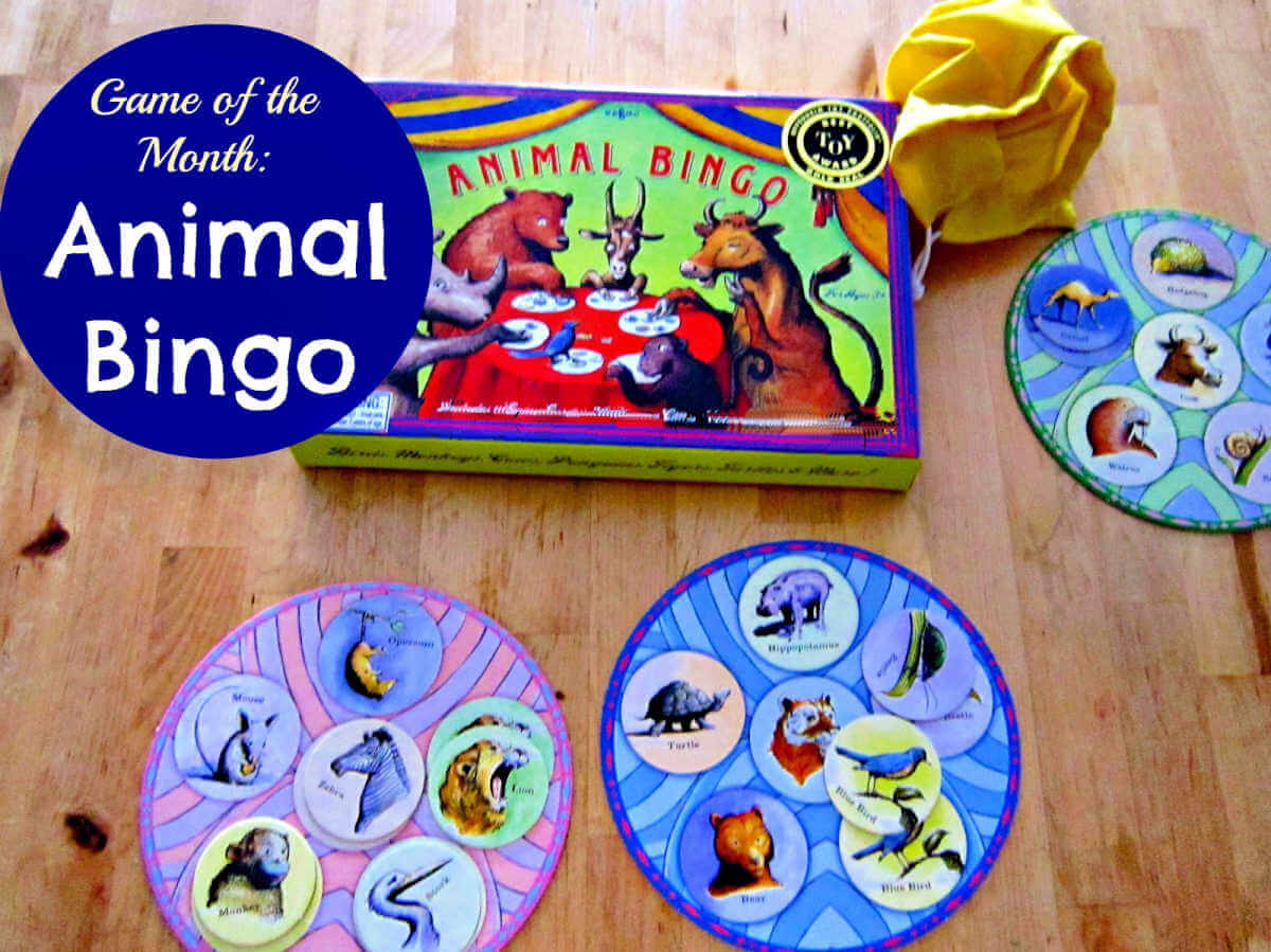Animal bingo cards and box