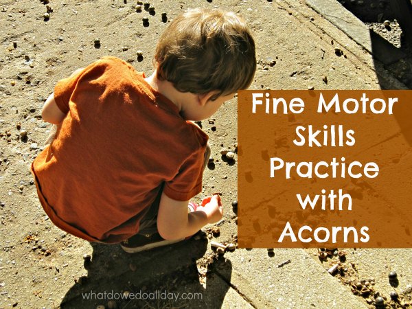 Child using pincer grasp and fine motor muscles to pick up acorns off the sidewalk