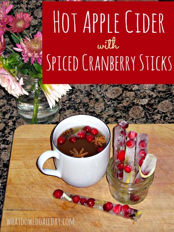 cool down too hot cider with cranberry ice sticks