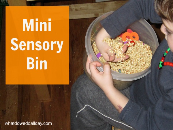 Mini sensory bin play for kids