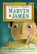 The Miniature World of Marvin James, book cover.