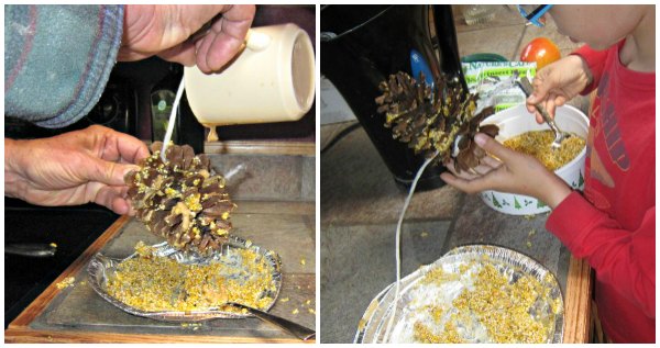 How to make a pinecone bird feeder with suet.