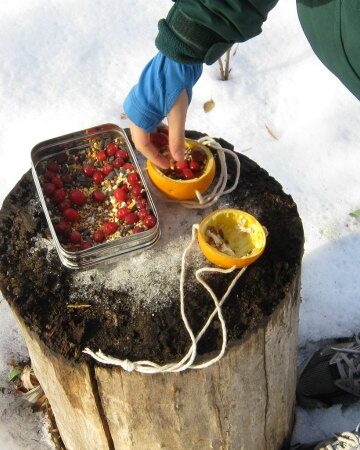 How to make an easy hanging orange bird feeder craft with kids
