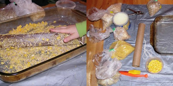Materials for making paper roll bird feeder craft and child rolling feeder in tray of bird seed.