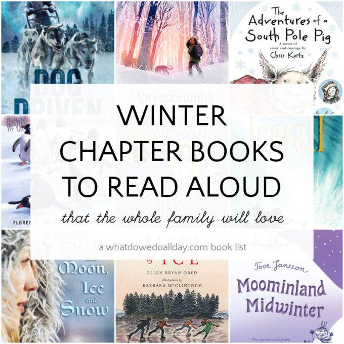 winter chapter books book cover collage