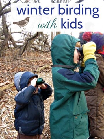 Get outside in the winter! Tips from a parent for winter birding with kids.
