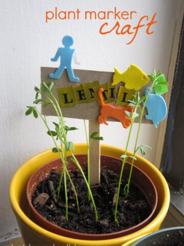 Cute homemade plant markers for kids to make