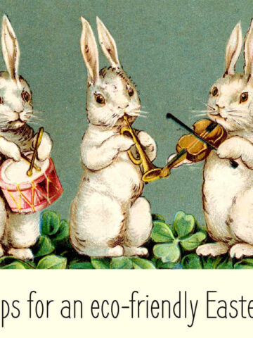 Four bunnies playing musical instruments with text "tips for an Eco-Friendly Easter"