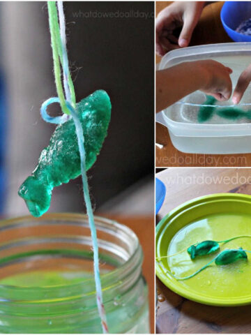 Collage of ice cube on a string science experiment