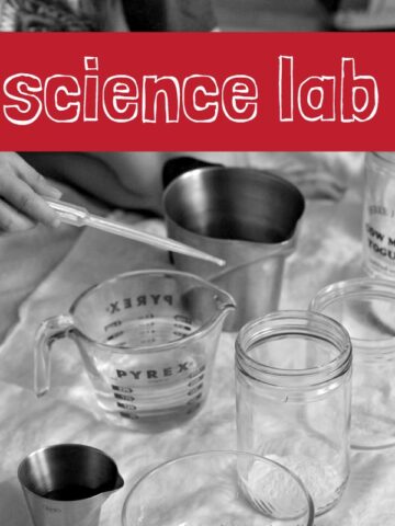 Set up a simple kids' science lab at home. Adaptable for kids of all ages.