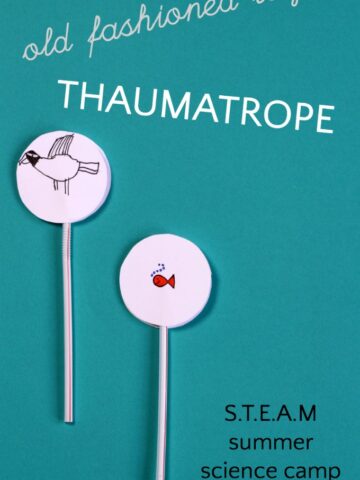 How to make a thaumatrope