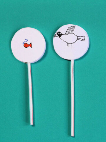 Thaumatrope with goldfish and thaumatrope with bird drawing.
