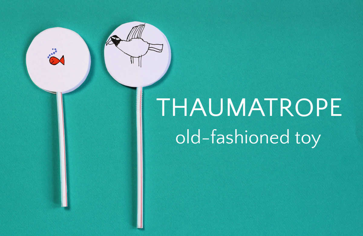 Paper and straw thaumatrope with goldfish and thaumatrope with bird drawing.