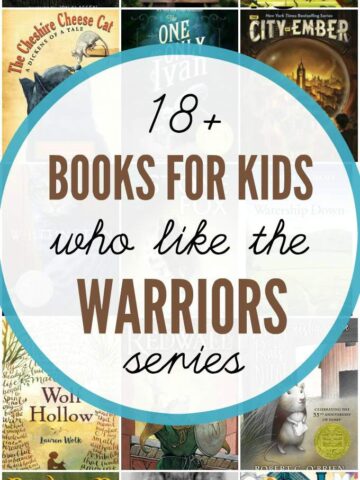 Chapter books for kids who like Warriors by Erin Hunter.