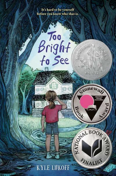 Book cover for Too Bright to See.
