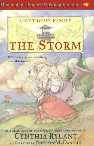 The Storm Lighthouse Family book series book cover