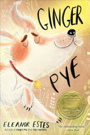 Ginger Pye book cover.
