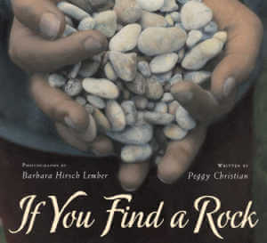 If You Find a Rock by Peggy Christian book cover..