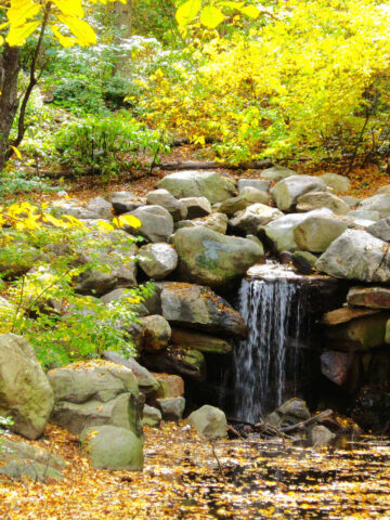 Tranquil scene with waterfall designed to remind families to practice gratitude.