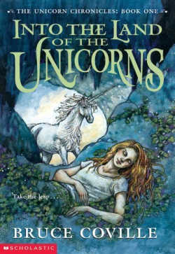 Into the Land of the Unicorns book