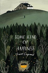Some Kind of Happiness book cover
