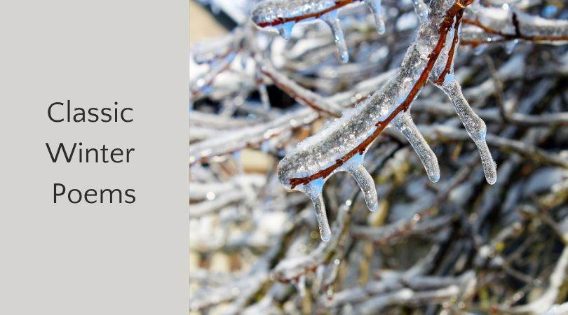 Icy branches next to text box, "classic winter poems"