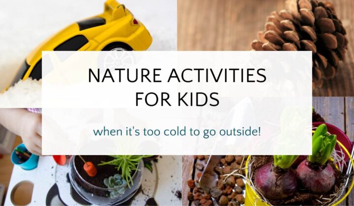 Collage of toy car in snow, pine cones and indoor plantings.