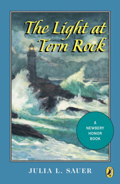 The Light at Tern Rock  book cover